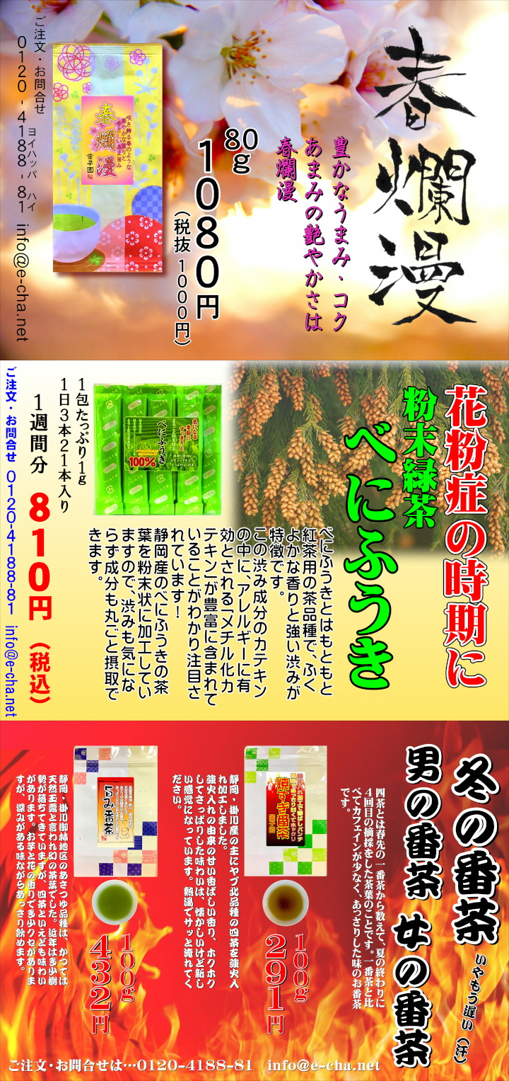春爛漫　番茶　べにふうき