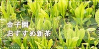 新茶ボタン